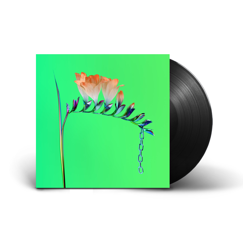 Flume / Skin Companion EP 1 12" Vinyl